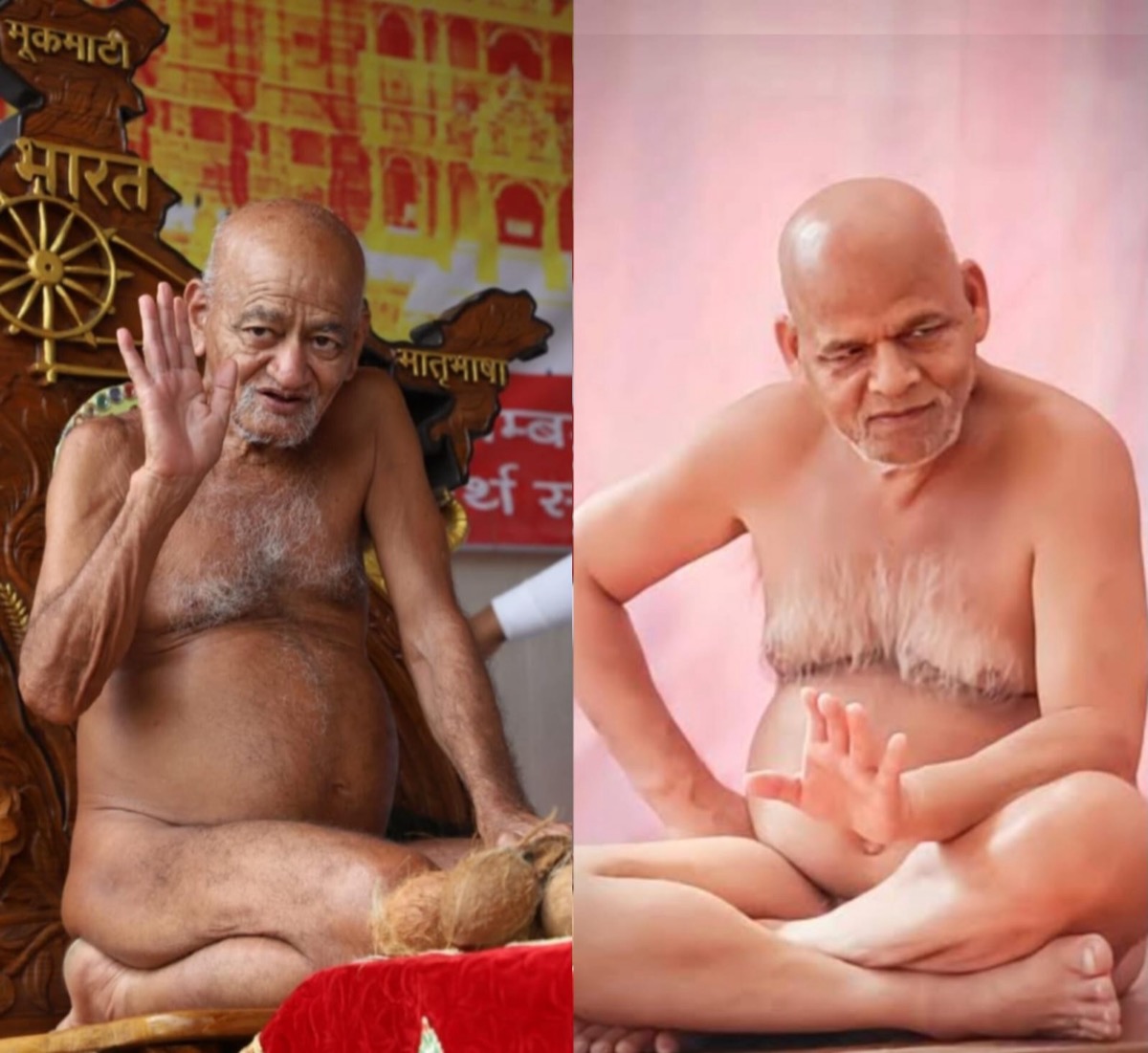 विद्योदय समूह भारत